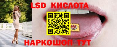 шишки Кандалакша