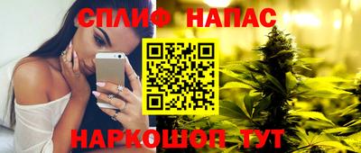 шишки Кандалакша