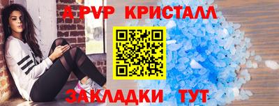 шишки Кандалакша
