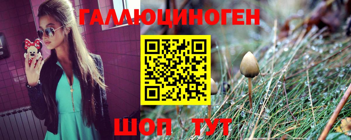 Галлюциногенные грибы Psilocybine cubensis  Вход с VPN  Кувандык 